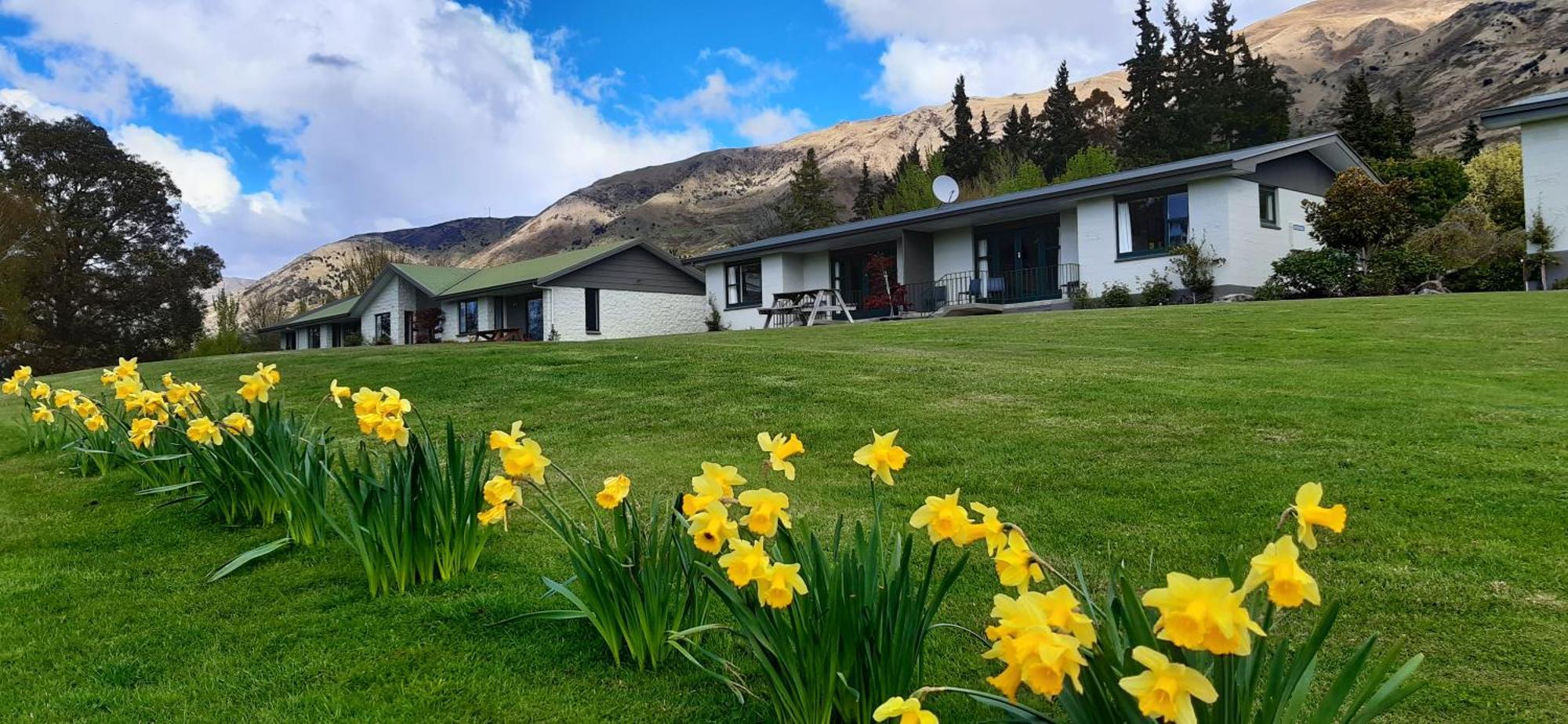 Wanaka Top 10 Holiday Park Екстериор снимка